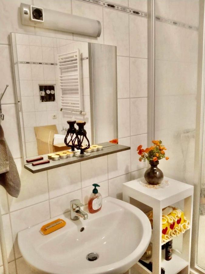 Ferienzimmer Healing Und Montuerwohnung Weißenfels Dış mekan fotoğraf