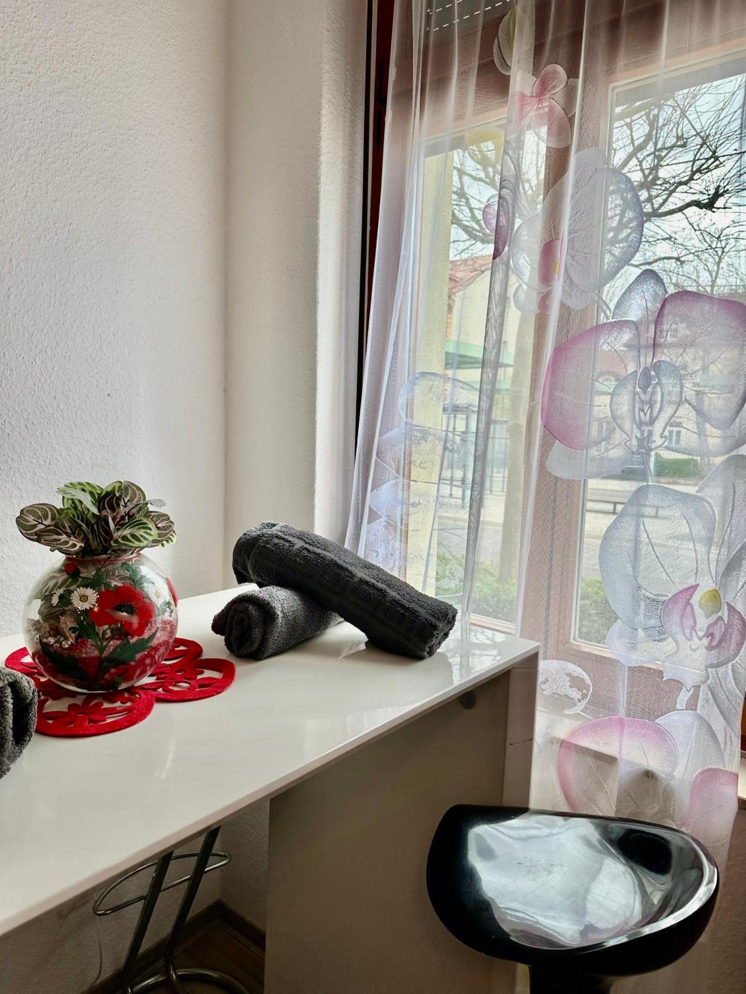 Ferienzimmer Healing Und Montuerwohnung Weißenfels Dış mekan fotoğraf