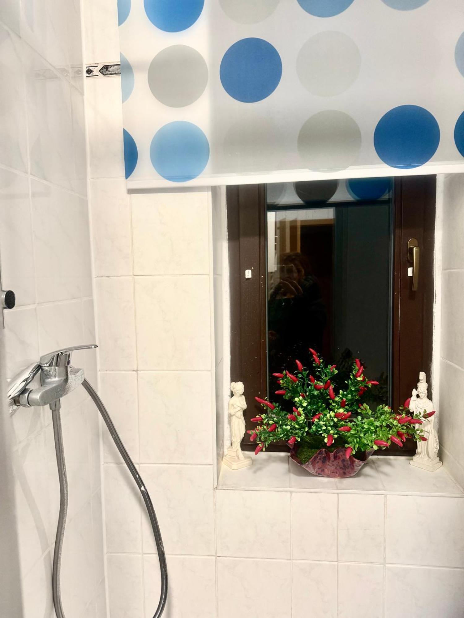 Ferienzimmer Healing Und Montuerwohnung Weißenfels Dış mekan fotoğraf
