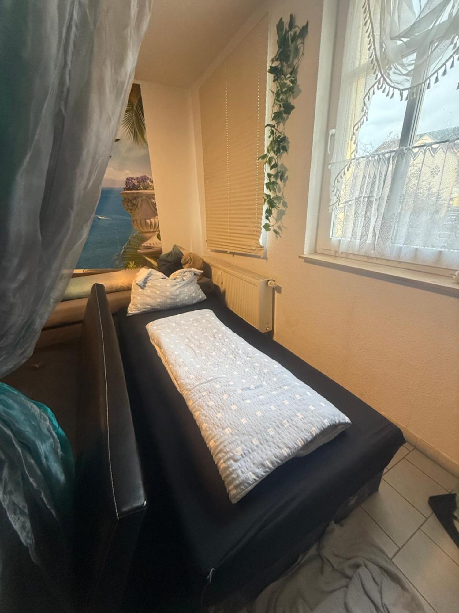 Ferienzimmer Healing Und Montuerwohnung Weißenfels Dış mekan fotoğraf