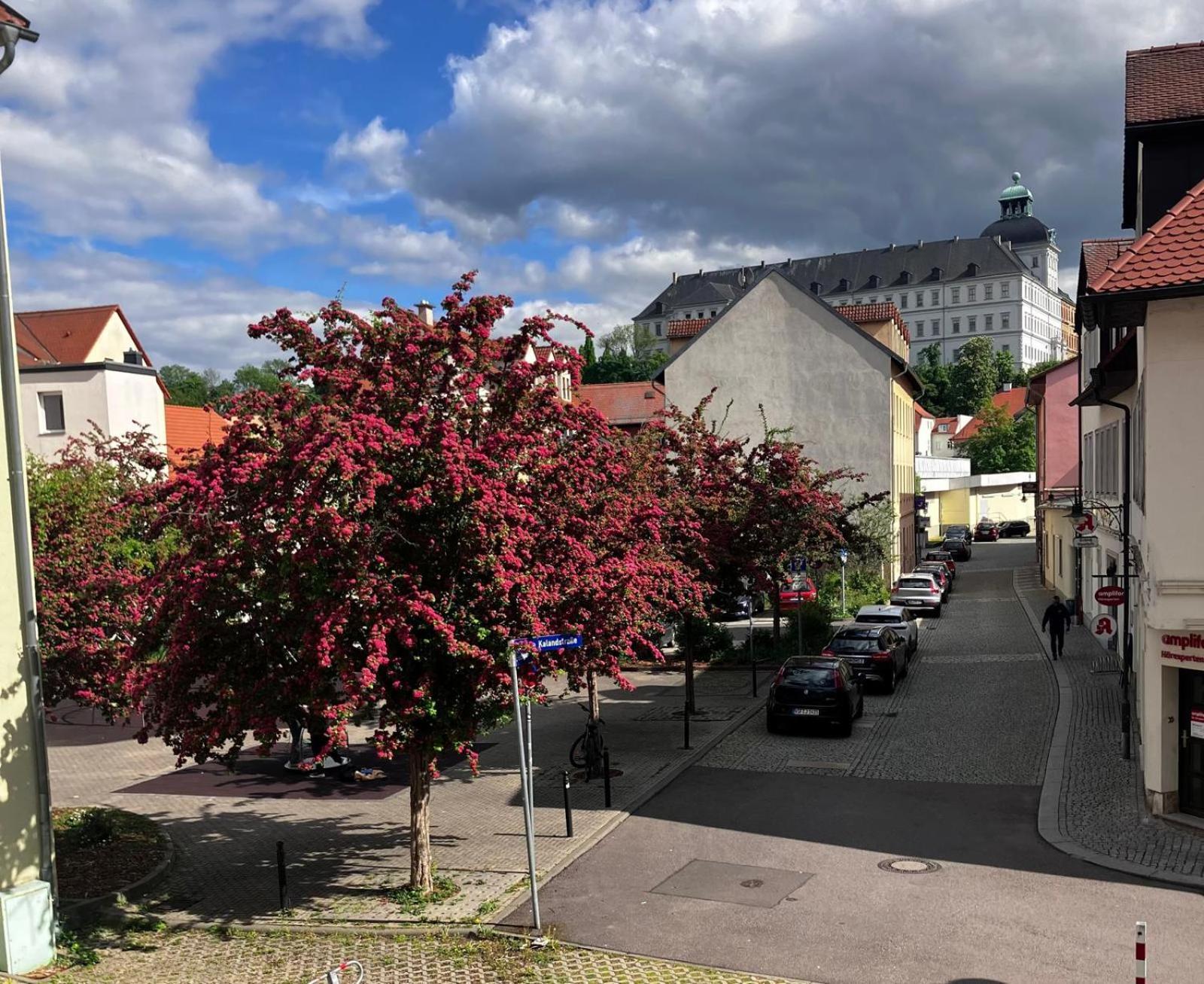 Ferienzimmer Healing Und Montuerwohnung Weißenfels Dış mekan fotoğraf